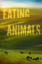 Jíst zvířata