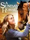 The Sunday Horse