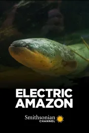Amazonské elektrické ryby