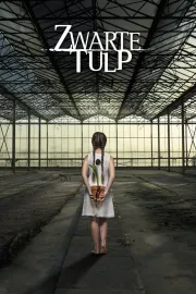 Zwarte Tulp