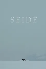 Seide