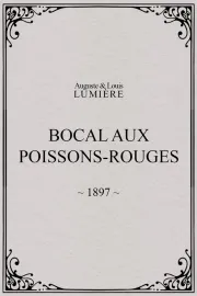 Bocal aux poissons-rouges
