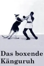 Boxende Känguruh, Das