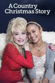 Country Christmas Story, A