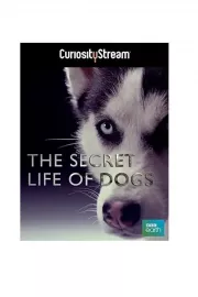 Tajný život psů