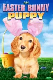 Easter Bunny Puppy, An
