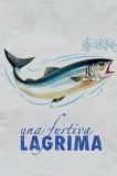 Furtiva Lagrima
