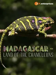 Madagaskar - země chameleonů
