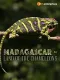 Madagaskar - země chameleonů