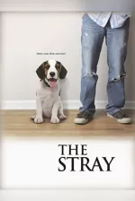 Stray, The