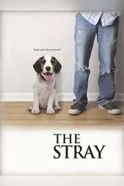Stray, The