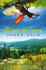 Das Grüne Wunder - Unser Wald
