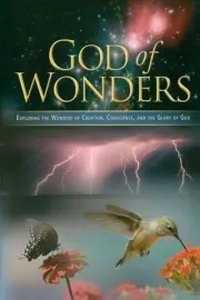 God Of Wonders