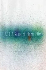 3.11 Sense of Home