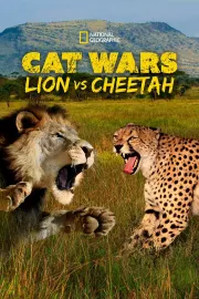 Války koček: Lev versus gepard