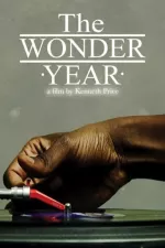 Wonder Year, The