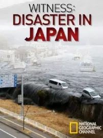 Očima svědků: Japonské tsunami