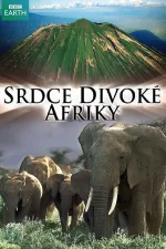 Divoké srdce Afriky