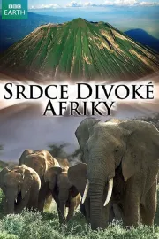 Divoké srdce Afriky