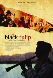Black Tulip, The
