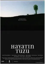 Hayatin tuzu