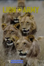 Lví armáda