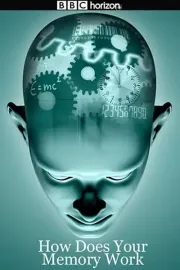 Jak funguje naše paměť