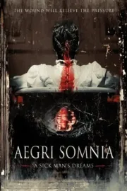 Aegri Somnia