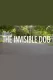 Invisible Dog, The