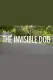 Invisible Dog, The