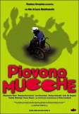 Piovono mucche