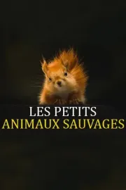 Petits animaux sauvages, Les