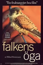 Falkens öga