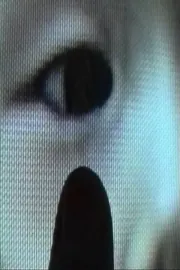 December Hide and Go Seek