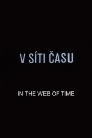 V síti času