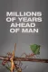 Millions of Years Ahead of Man