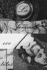 Femme 100 têtes, La