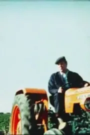 Summer in the fields