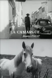Camargue, La