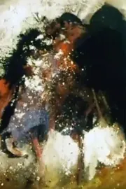 Trois portraits d'un oiseau qui n'existe pas