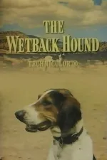 Wetback Hound, The