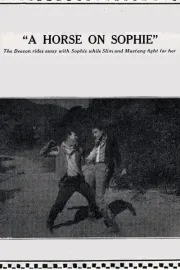 A Horse on Sophie