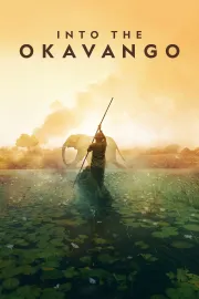 Into The Okavango
