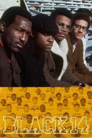 Black 14
