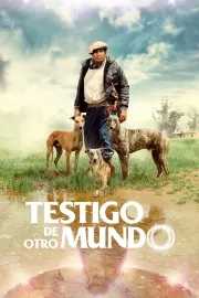 Testigo de otro mundo