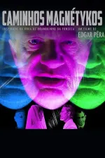Caminhos Magnéticos