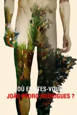 Où en êtes-vous, João Pedro Rodrigues?