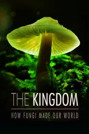 The Kingdom: How Gungi made our world