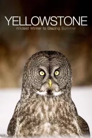 Yellowstone: Velké tání