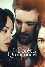 La forêt de Quinconces